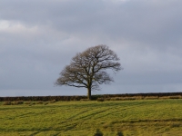 Equilibrium