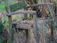 Nature’s seat