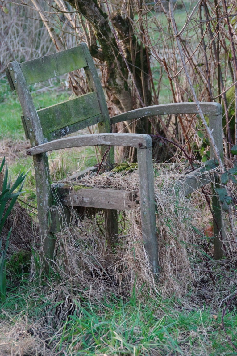 Nature’s seat
